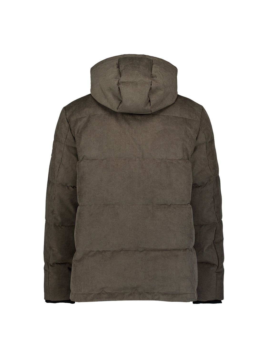 Kapuzenjacke aus Cord | army